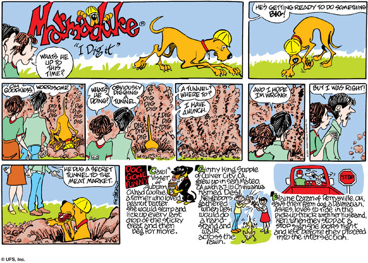marmaduke